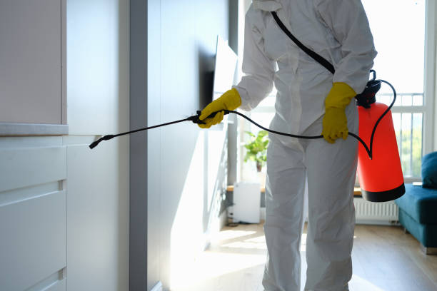 Best Mold Cleaning Services  in Jericho, NY